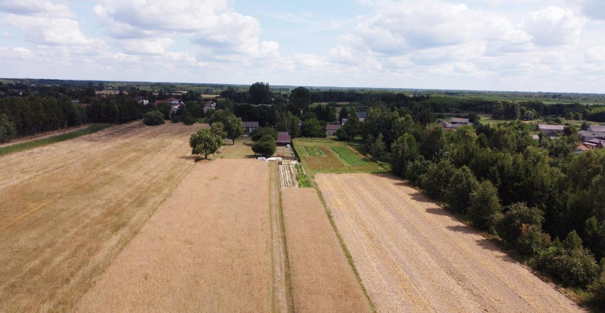 Agroturystyka Kraina Jezior Ludwin Exterior foto